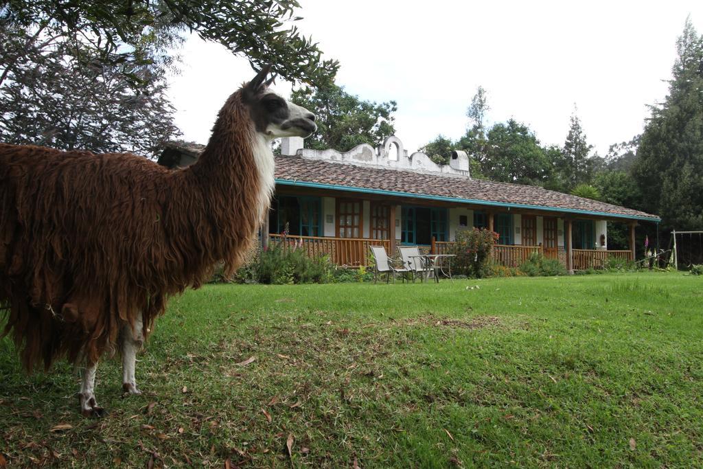 Las Palmeras Inn オタバロ エクステリア 写真