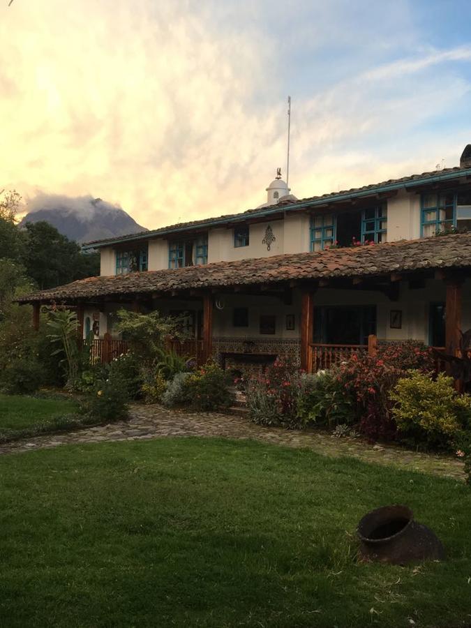 Las Palmeras Inn オタバロ エクステリア 写真